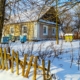 Wohin gehen die Bienen im Winter?